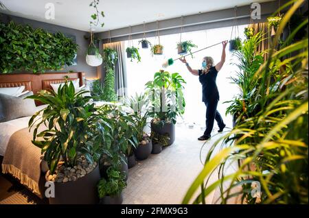 Gosia Posidala, del personale addetto alle pulizie, prepara una nuova camera a tema naturale all'hotel Kimpton Blythswood Square a Glasgow. Ôla Chambre VerteÕ, è un coinvolgente esperimento di suite d'hotel di lusso che misura i benefici psicologici e fisici del design biofilo ed è stato lanciato durante la settimana della consapevolezza della salute mentale 2021. Data immagine: Mercoledì 12 maggio 2021. Foto Stock