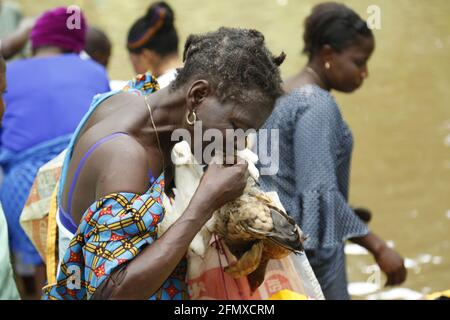 Osun Osogbo: Una donna che prega con una colomba e una gallina sacrificali durante il Festival Osun Osogbo. Foto Stock