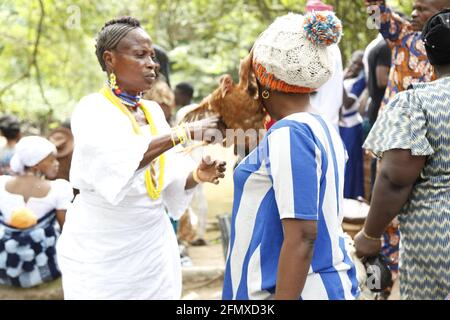 Osun Osogbo: Sacerdotessa di Osun che prega per una donna sterile con una gallina sacrificale durante il Festival Osun Osogbo. Foto Stock