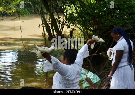 Osun Osogbo: Donne che pregano con le colombe sul fiume Osun durante il Festival Osun Osogbo. Foto Stock