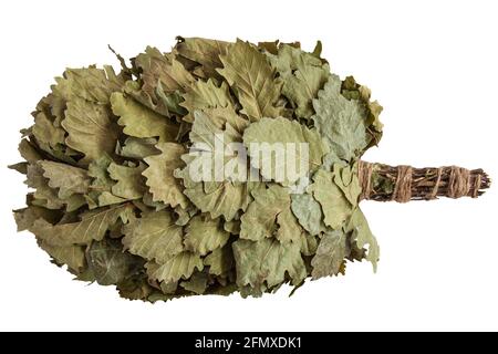 Scopa di quercia isolata su sfondo bianco. Progettato per il massaggio nel bagno russo Foto Stock