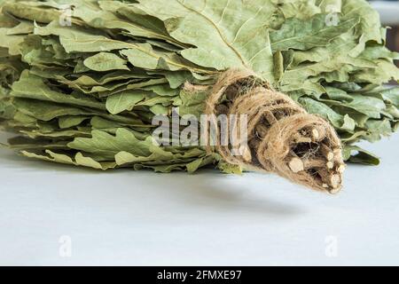 Una spessa scopa da bagno realizzata con rami di quercia avvolti con spago. Primo piano Foto Stock