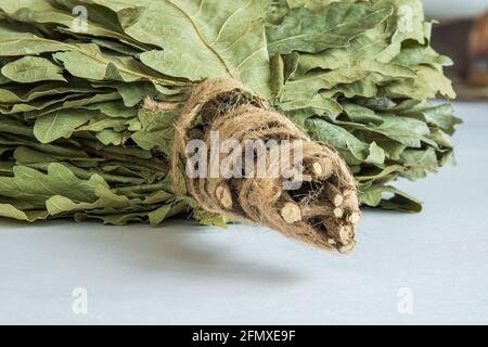 Scopa da bagno fatta a mano in rami di quercia avvolta con spago. Sfondo bianco. Primo piano Foto Stock