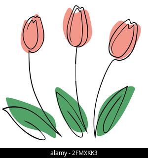 Tulipani in stile line art. Vettore. Moderni fiori lacustici stilizzati. Illustrazione Vettoriale