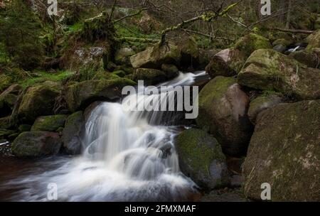 Riserva naturale di Wyming brook. Dettaglio della cascata in primo piano con 1 secondo di velocità dell'otturatore, Peak District National Park, Sheffield, Inghilterra, Regno Unito Foto Stock