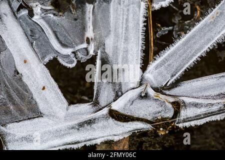 Cristalli di ghiaccio formati sulla superficie dell'acqua Foto Stock