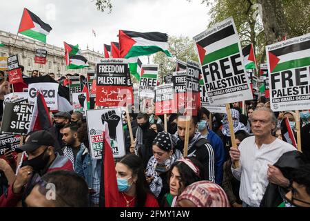 Londra, Regno Unito. 11 Maggio 2021. Migliaia di persone detengono bandiere e cartelli palestinesi per una protesta di emergenza in solidarietà con il popolo palestinese organizzato fuori Downing Street dalla Campagna di solidarietà Palestinese, Friends of al Aqsa, Stop the War Coalition e Palestinese Forum in Gran Bretagna. Il raduno si è svolto in protesta contro le incursioni aeree israeliane a Gaza, lo spiegamento delle forze israeliane contro i fedeli alla moschea di al-Aqsa durante il Ramadan e i tentativi di spostare forzatamente le famiglie palestinesi dal quartiere dello Sheikh Jarrah di Gerusalemme Est. Credit: Mark Kerrison/Alamy Live News Foto Stock