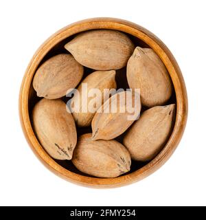 Noci pecan sgusciate, in una ciotola di legno. Pecan interi, semi e noci commestibili di Carya illinoinensis. Utilizzato come snack e in varie ricette. Primo piano. Foto Stock
