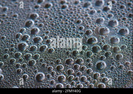 Aufsteigende Luftblasen von kochendem Wasser Foto Stock