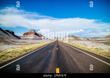 Un modo lungo la strada del Parco Nazionale della Foresta Pietrificata, Arizona Foto Stock