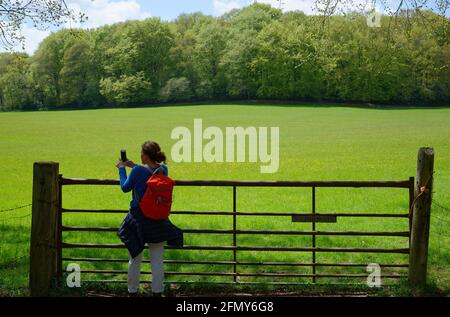 Un cancello di campo con una bella vista primaverile di boschi e prateria con fiori di farfalle. Donna con fotocamera per smartphone che scatta foto. Foto Stock