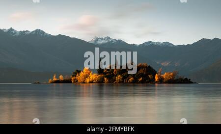 Autunno Isola Ruby illuminata dal sole Setting al Lago Wanaka, regione di Otago, Isola del Sud, Nuova Zelanda Foto Stock