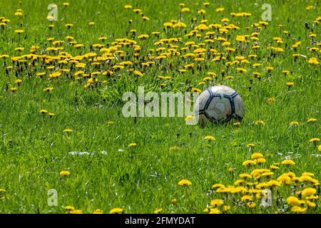 Vista a una palla di calcio in pelle usurata sdraiata su un prato con coppe. Foto Stock