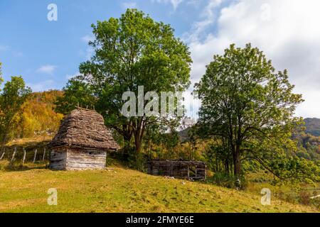 Casa tradizionale in legno sui Monti Afuseni in Transilvania, Romania. Il luogo è conosciuto come 'paese del Motilor'. La casa è fatta esclusivamente di legno Foto Stock