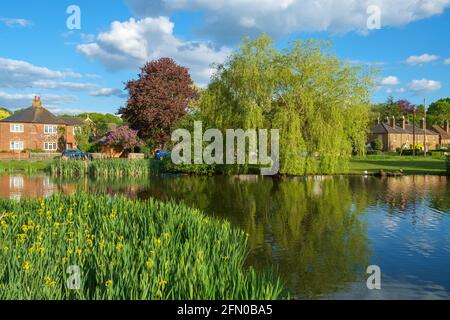West End Village, Esher, Surrey, Inghilterra, Regno Unito. Villaggio inglese quintessential costruito intorno ad un laghetto di anatre. Foto Stock