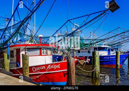 Le barche per gamberetti sono ormeggiate presso il porto di Biloxi Small Craft, l'8 maggio 2021, a Biloxi, Mississippi. Foto Stock