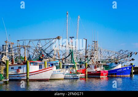 Le barche per gamberetti sono ormeggiate presso il porto di Biloxi Small Craft, l'8 maggio 2021, a Biloxi, Mississippi. Foto Stock