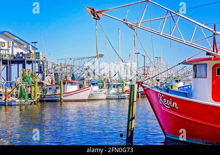 Le barche per gamberetti sono ormeggiate presso il porto di Biloxi Small Craft, l'8 maggio 2021, a Biloxi, Mississippi. Foto Stock