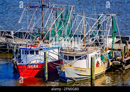 Le barche per gamberetti sono ormeggiate presso il porto di Biloxi Small Craft, l'8 maggio 2021, a Biloxi, Mississippi. Foto Stock