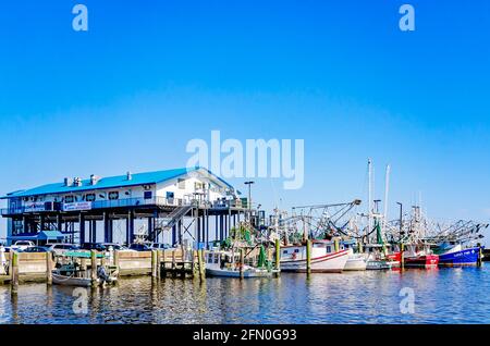 Le barche per gamberetti sono ormeggiate presso il porto di Biloxi Small Craft, l'8 maggio 2021, a Biloxi, Mississippi. Foto Stock