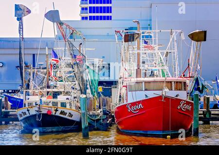 Le barche per gamberetti sono ormeggiate presso il porto di Biloxi Small Craft, l'8 maggio 2021, a Biloxi, Mississippi. Foto Stock