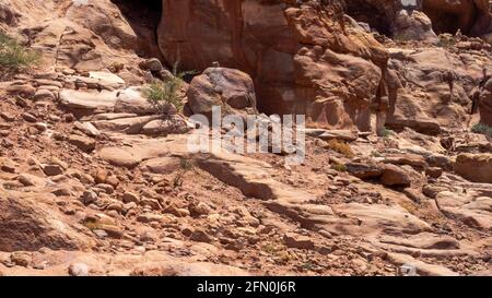 Arenaria rosa rossa sotto forma di cranio tra formazioni rocciose intemperie ed erose Foto Stock