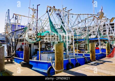 Le barche per gamberetti sono ormeggiate presso il porto di Biloxi Small Craft, l'8 maggio 2021, a Biloxi, Mississippi. Foto Stock