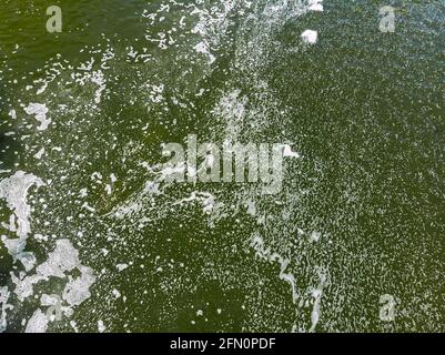 acqua stagnante inquinata con bolle di schiuma sulla superficie. vista dall'alto verso il basso dall'alto Foto Stock