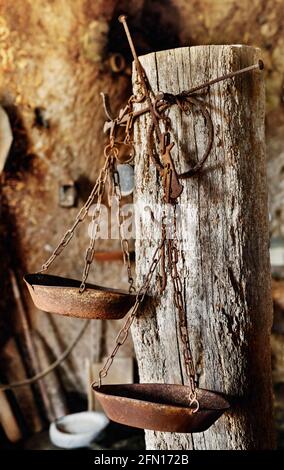 Vecchie bilance per acciaierie arrugginite con piastre o piastre di pesatura appese su chiodo arrugginito bussato in un tronco, dispositivo portatile per peso degli articoli di piccole dimensioni Foto Stock