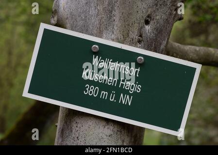 Wachstedt, Germania. 13 maggio 2021. Un segno 'Klüschen Hagis pellegrinaggio sito' è attaccato ad un albero sulla strada per il pellegrinaggio alternativo degli uomini con il motto: 'Vieni Signore, benedici'. La Giornata dell'Ascensione è il giorno del pellegrinaggio degli uomini a Klüschen Hagis, nella diocesi di Erfurt. Come l'anno scorso, il tradizionale pellegrinaggio è annullato a causa di corona. Credit: Swen Pförtner/dpa/Alamy Live News Foto Stock