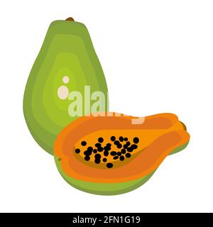 papaia intero e mezzo vettore isolato su sfondo bianco. Illustrazione Vettoriale