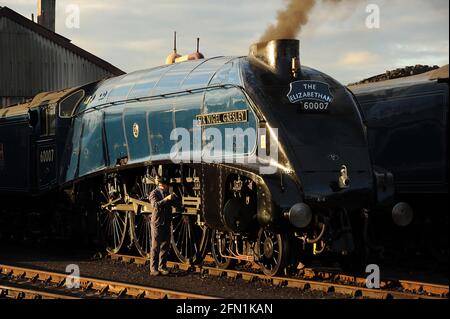 Olio per il conducente "ir Nigel Gresley". Foto Stock