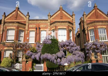 Statue di leoni sulle scuderie e i gatefali di Wisteria (Fabaceae) clad Lion Houses a Barnes, Londra, SW13, Regno Unito Foto Stock