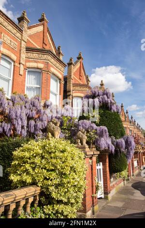 Statue di leoni sulle scuderie e i gatefali di Wisteria (Fabaceae) clad Lion Houses a Barnes, Londra, SW13, Regno Unito Foto Stock