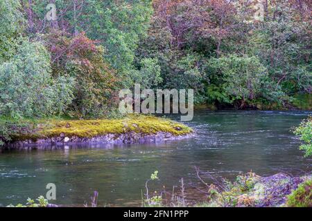 FLO, NORVEGIA - 2020 AGOSTO 10. Fiume di montagna in Norvegia Foto Stock