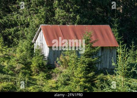 FLO, NORVEGIA - 2020 AGOSTO 10. Cottage norvegese nella foresta Foto Stock