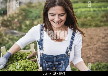 Donna contadina matura che tiene una scatola di legno con lattuga biologica fresca - mettere a fuoco sul viso Foto Stock