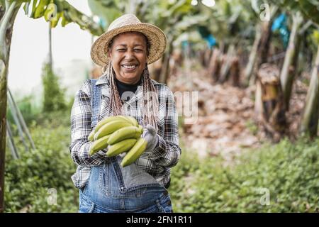 Donna contadina africana anziana che lavora a Greenhouse mentre tiene un Banana mazzo - fuoco sul viso Foto Stock