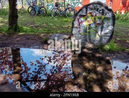 Targa sotto albero fiorito di ciliegia, Sakura, piantato dopo la riunificazione del 1990 della Germania, dono Della compagnia televisiva giapponese, Norwegerstrasse, Prenzlauer Berg, Berlino Foto Stock