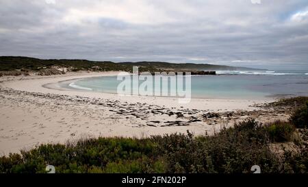 Hanson Bay, KI Foto Stock