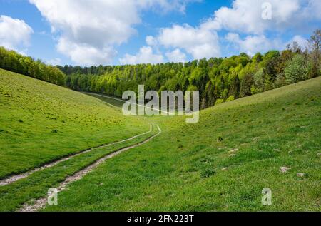 Colline e vallate che mostrano la Via di Monarch in primavera ad Arundel Park, South Downs National Park, un'area di straordinaria bellezza naturale nel West Sussex, Regno Unito. Foto Stock