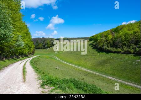 Route of Monarch's Way nella campagna britannica di Arundel Park, South Downs National Park, un'area di straordinaria bellezza naturale nel West Sussex, Regno Unito Foto Stock