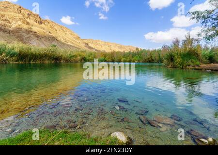 Vista di una piscina d'acqua salmastra, con scogliere del deserto, nella riserva naturale di Einot Tzukim (Ein Feshkha), sulla costa nord occidentale del Mar Morto, ISR meridionale Foto Stock