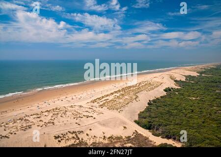 Spiaggia la Coubre vicino al faro la Coubre, la Tremblade, Charente-Maritime (17), Nouvelle-Aquitaine regione, Francia Foto Stock