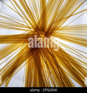 primo piano di spaghetti, sparati dall'alto Foto Stock