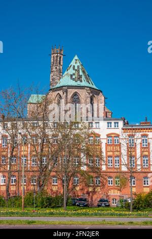 Cappella di Maria Maddalena, Chiesa di San Petri e Chiesa evangelica in primavera con fiori a Magdeburgo, Germania, al sole giorno e cielo blu Foto Stock