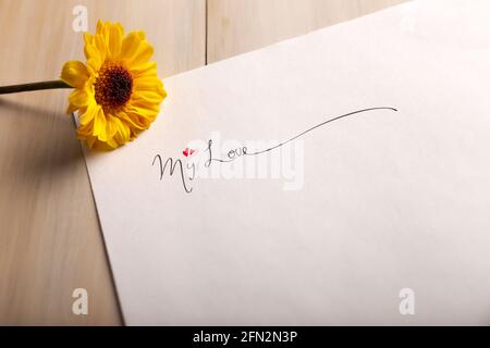 Lettera d'amore. Foglio bianco di carta con la frase 'amore mio' e un fiore giallo Foto Stock