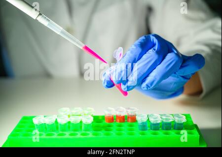 Scienziato che ha preso la soluzione chimica rosa dal tubo eppendorf sopra un banco bianco di fondo per la ricerca di biologia molecolare Foto Stock