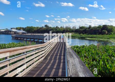 Le persone che camminano sul lungomare sopraelevato al Green Cay Nature Center and Wetlands, Boynton Beach, Florida. Foto Stock