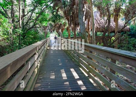 Potrai passeggiare sul lungomare sopraelevato presso il Green Cay Nature Center and Wetlands, Boynton Beach, Florida. Foto Stock